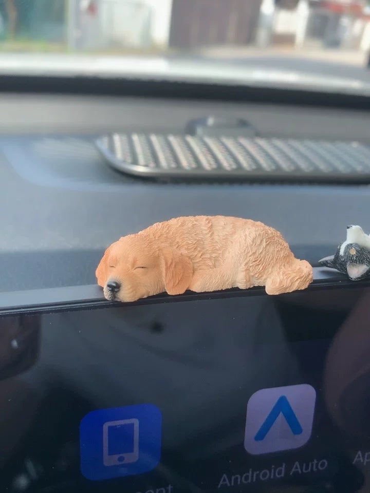 Adorable Sleeping Golden Retriever Puppy