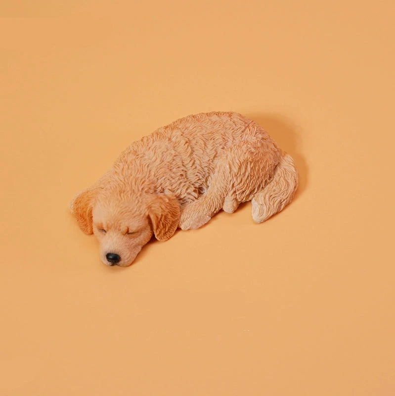 Golden Retriever puppy - sleeping