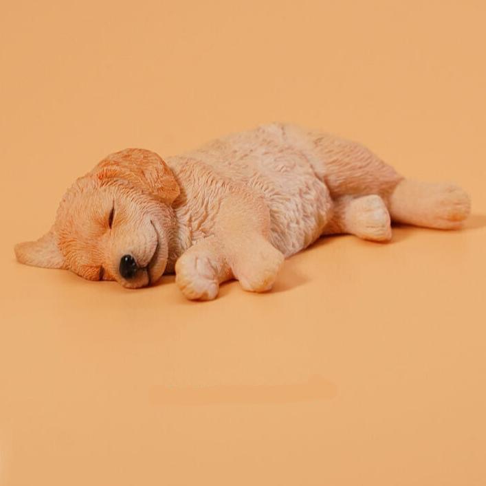 Golden Retriever puppy - sleeping