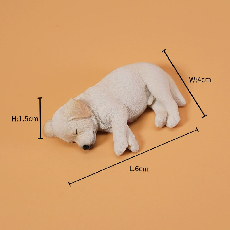 Golden Retriever puppy size